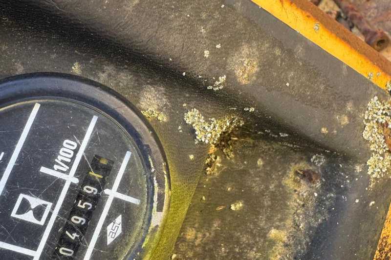 OmecoHub - Immagine BITELLI DTV325